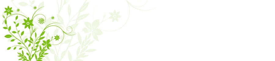 �����̐����I�炪������^���b�g�肢�̊�{�I�Ȃ���